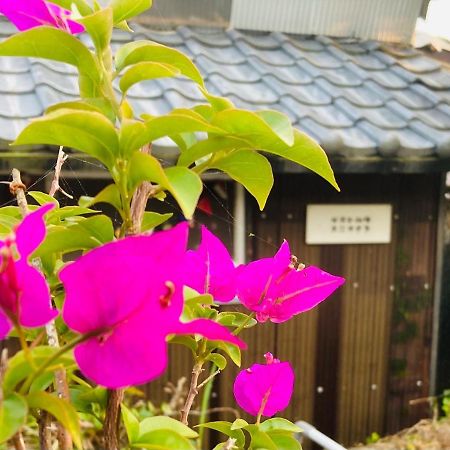 Guesthouse Nichinan - Vacation Stay 82905V Exterior foto